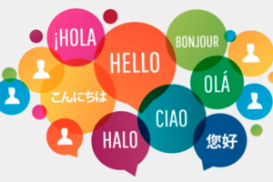 Languages IB tutoring