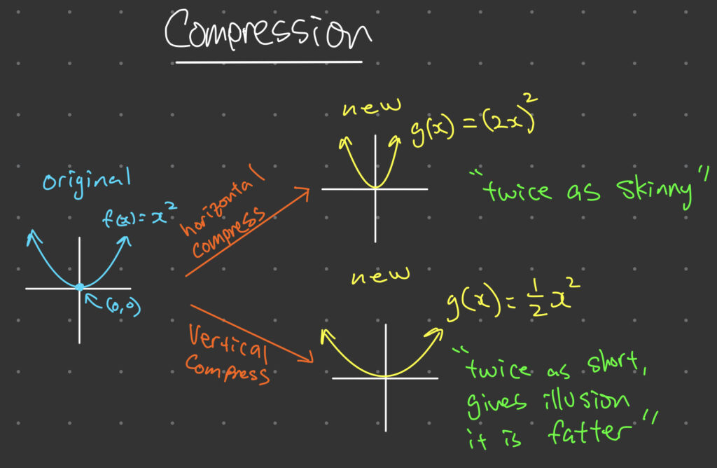 Transformation of Functions - Compressions